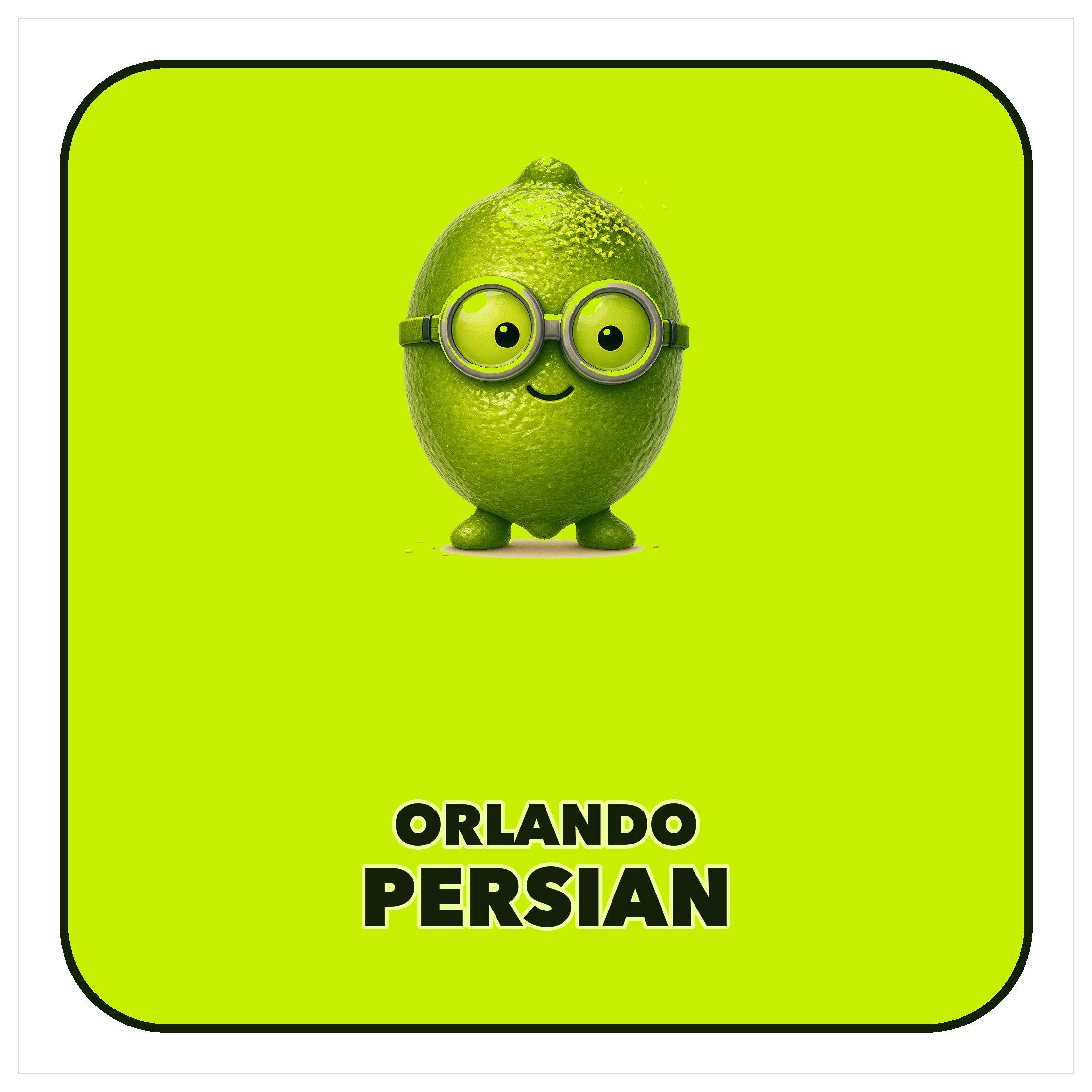 Persian lime magnet